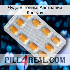 Чудо В Тонике Австралия Кенгуру cialis3